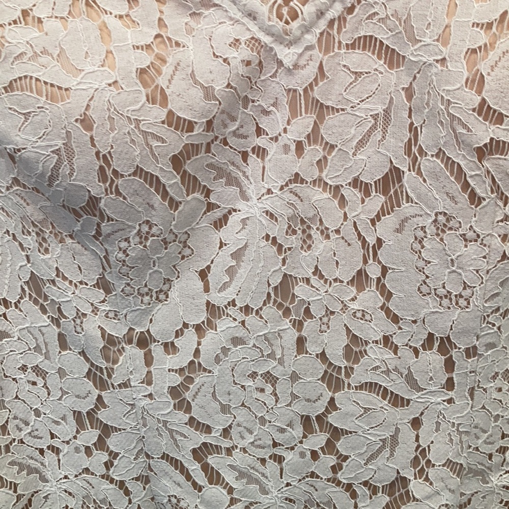 NWT lace nude sheath dress!! Very flattering! - Picture 5 of 5